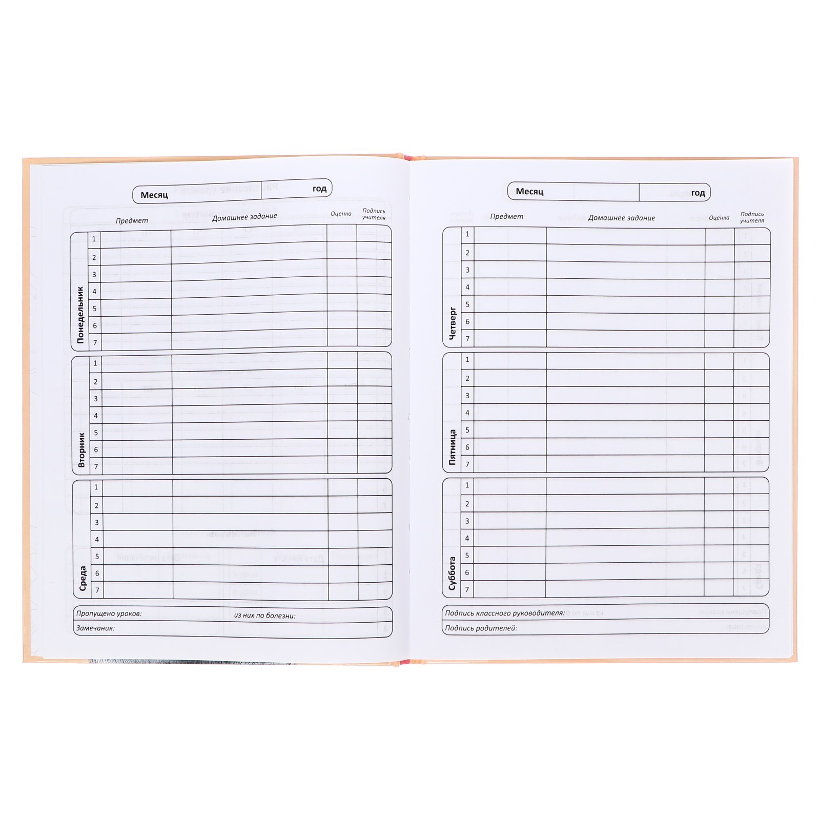 Дневник для 1-11 классов А5+ 48л 7БЦ "Искра" - фото 2