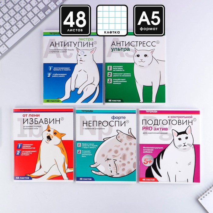 Тетрадь в клетку, 48 л., А5, на скрепке, блок №1 «Котики таблетки» МИКС