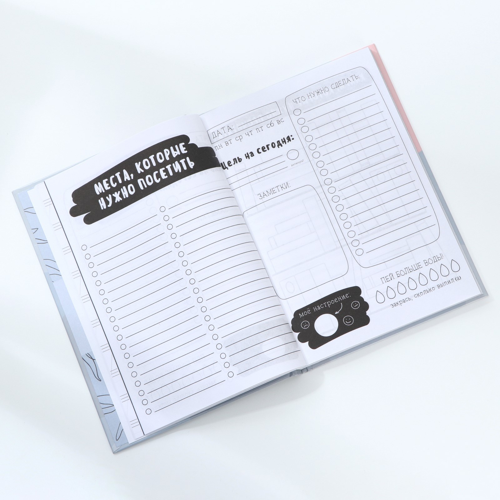 Ежедневник творческого человека «Ты настоящее вдохновение», А5, 120 листов - фото 5