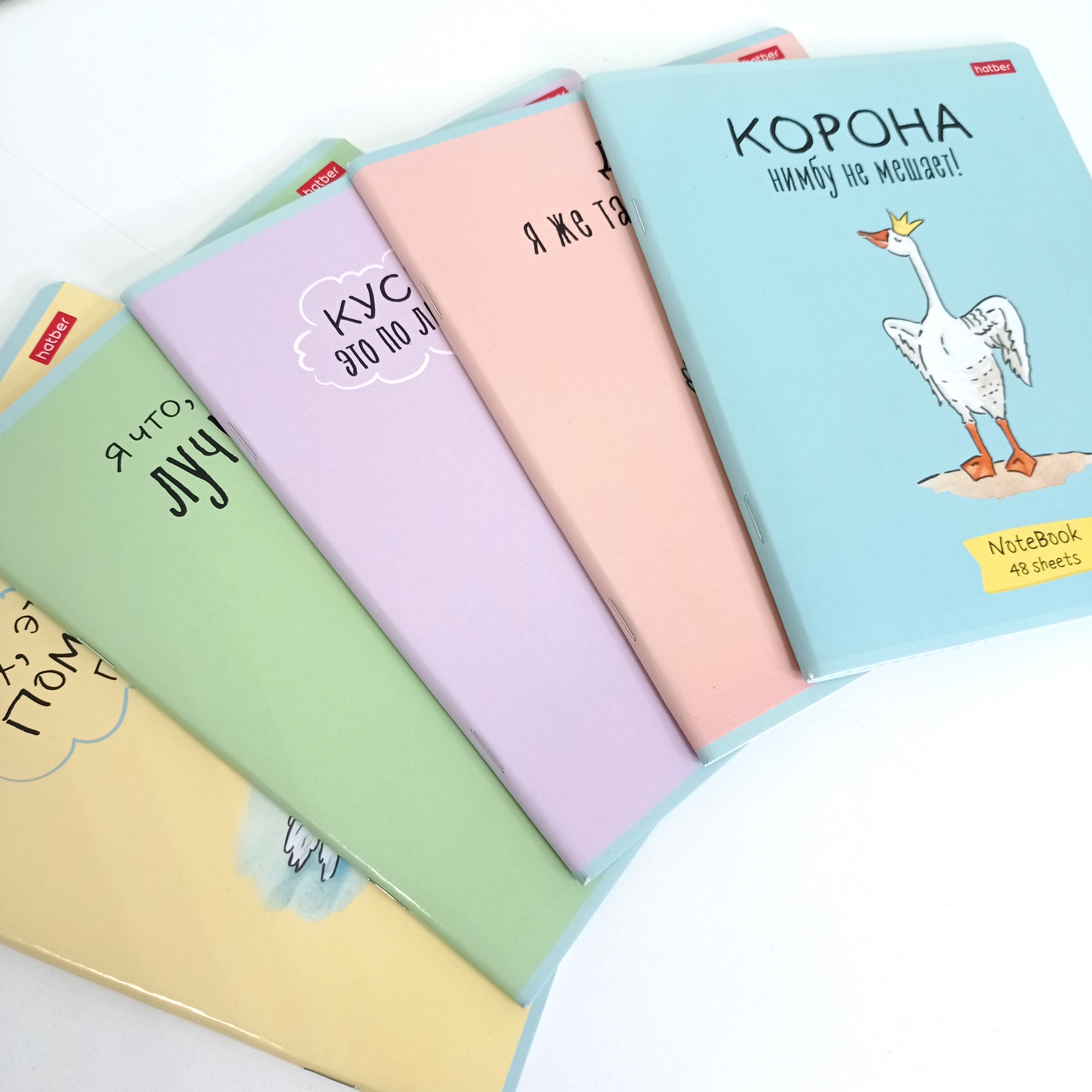 Тетрадь 48л в клетку "Гусь-веселюсь" (funny goose) - фото 2