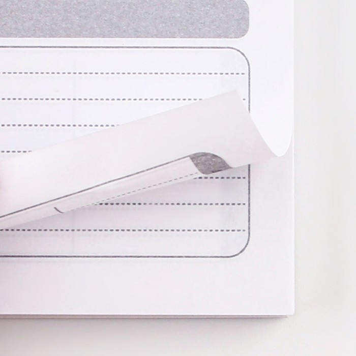 Планинг для записи клиентов А5, 80 л "Череп" - фото 3